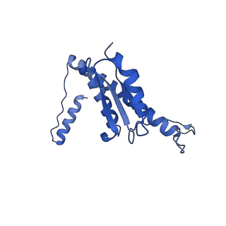 11635_7a4j_rC_v1-2
Aquifex aeolicus lumazine synthase-derived nucleocapsid variant NC-4