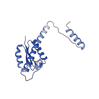 11635_7a4j_rD_v1-2
Aquifex aeolicus lumazine synthase-derived nucleocapsid variant NC-4