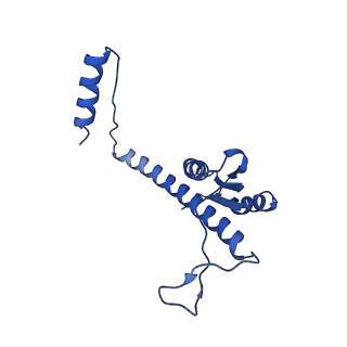 11635_7a4j_sA_v1-2
Aquifex aeolicus lumazine synthase-derived nucleocapsid variant NC-4