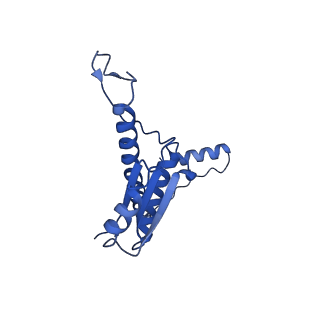 11635_7a4j_sB_v1-2
Aquifex aeolicus lumazine synthase-derived nucleocapsid variant NC-4