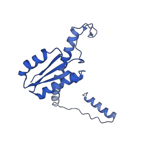 11635_7a4j_sD_v1-2
Aquifex aeolicus lumazine synthase-derived nucleocapsid variant NC-4