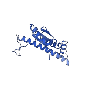 11635_7a4j_tA_v1-2
Aquifex aeolicus lumazine synthase-derived nucleocapsid variant NC-4