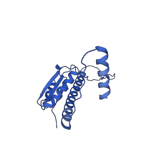 11635_7a4j_tB_v1-2
Aquifex aeolicus lumazine synthase-derived nucleocapsid variant NC-4