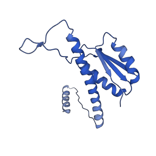 11635_7a4j_tC_v1-2
Aquifex aeolicus lumazine synthase-derived nucleocapsid variant NC-4