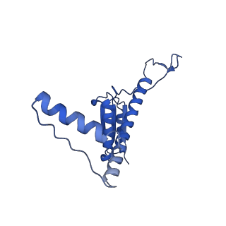 11635_7a4j_tD_v1-2
Aquifex aeolicus lumazine synthase-derived nucleocapsid variant NC-4