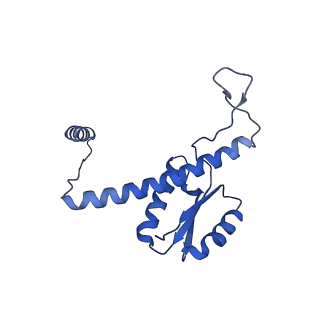 11635_7a4j_uA_v1-2
Aquifex aeolicus lumazine synthase-derived nucleocapsid variant NC-4