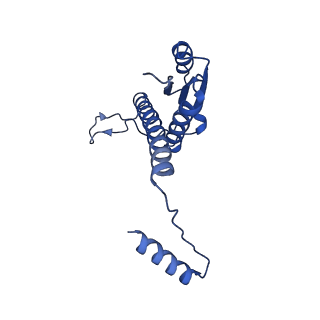 11635_7a4j_uB_v1-2
Aquifex aeolicus lumazine synthase-derived nucleocapsid variant NC-4
