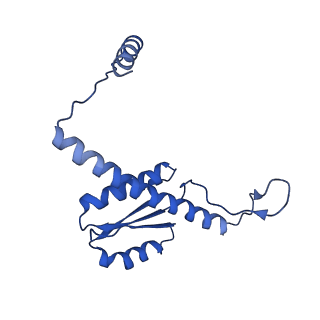 11635_7a4j_uC_v1-2
Aquifex aeolicus lumazine synthase-derived nucleocapsid variant NC-4