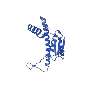 11635_7a4j_vA_v1-2
Aquifex aeolicus lumazine synthase-derived nucleocapsid variant NC-4
