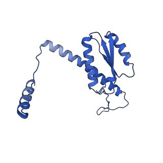 11635_7a4j_vC_v1-2
Aquifex aeolicus lumazine synthase-derived nucleocapsid variant NC-4