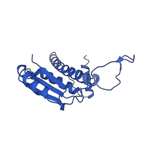 11635_7a4j_vD_v1-2
Aquifex aeolicus lumazine synthase-derived nucleocapsid variant NC-4