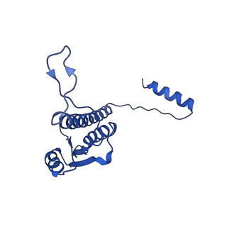 11635_7a4j_wA_v1-2
Aquifex aeolicus lumazine synthase-derived nucleocapsid variant NC-4