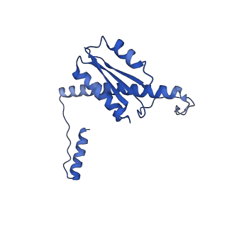 11635_7a4j_wB_v1-2
Aquifex aeolicus lumazine synthase-derived nucleocapsid variant NC-4