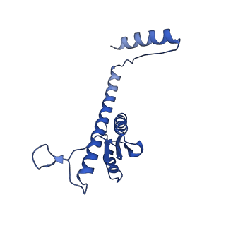 11635_7a4j_wC_v1-2
Aquifex aeolicus lumazine synthase-derived nucleocapsid variant NC-4