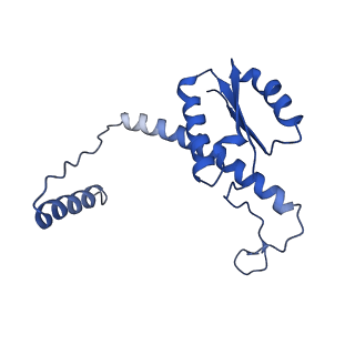 11635_7a4j_wD_v1-2
Aquifex aeolicus lumazine synthase-derived nucleocapsid variant NC-4