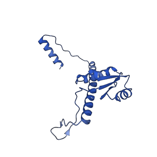 11635_7a4j_xB_v1-2
Aquifex aeolicus lumazine synthase-derived nucleocapsid variant NC-4