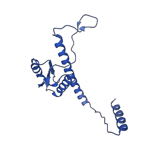 11635_7a4j_xC_v1-2
Aquifex aeolicus lumazine synthase-derived nucleocapsid variant NC-4
