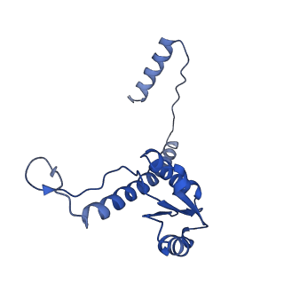 11635_7a4j_xD_v1-2
Aquifex aeolicus lumazine synthase-derived nucleocapsid variant NC-4