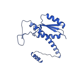 11635_7a4j_yA_v1-2
Aquifex aeolicus lumazine synthase-derived nucleocapsid variant NC-4