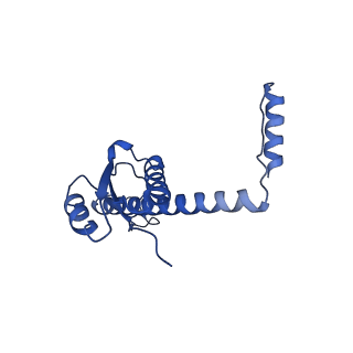 11635_7a4j_yB_v1-2
Aquifex aeolicus lumazine synthase-derived nucleocapsid variant NC-4