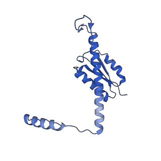 11635_7a4j_yC_v1-2
Aquifex aeolicus lumazine synthase-derived nucleocapsid variant NC-4