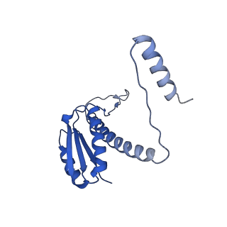 11635_7a4j_yD_v1-2
Aquifex aeolicus lumazine synthase-derived nucleocapsid variant NC-4