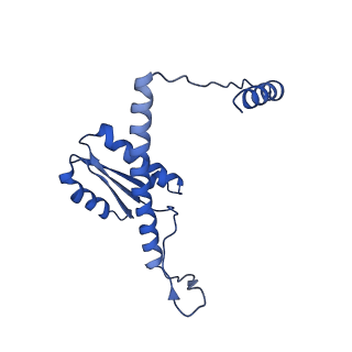 11635_7a4j_zA_v1-2
Aquifex aeolicus lumazine synthase-derived nucleocapsid variant NC-4