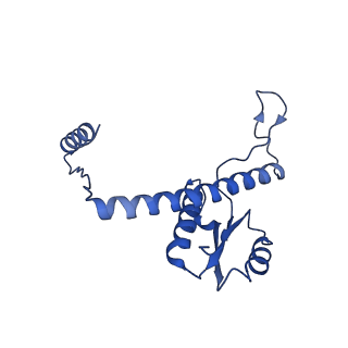 11635_7a4j_zB_v1-2
Aquifex aeolicus lumazine synthase-derived nucleocapsid variant NC-4
