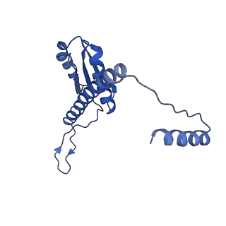 11635_7a4j_zC_v1-2
Aquifex aeolicus lumazine synthase-derived nucleocapsid variant NC-4