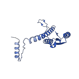 11635_7a4j_zD_v1-2
Aquifex aeolicus lumazine synthase-derived nucleocapsid variant NC-4