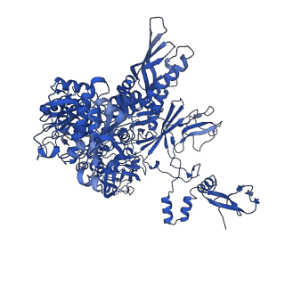 15129_8a40_B_v1-0
Structure of mammalian Pol II-TFIIS elongation complex