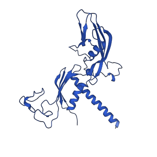 15129_8a40_C_v1-0
Structure of mammalian Pol II-TFIIS elongation complex