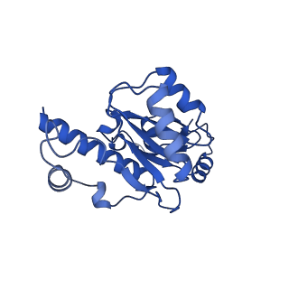 15129_8a40_E_v1-0
Structure of mammalian Pol II-TFIIS elongation complex