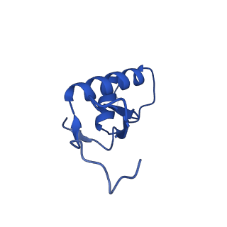 15129_8a40_F_v1-0
Structure of mammalian Pol II-TFIIS elongation complex