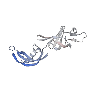 15129_8a40_G_v1-0
Structure of mammalian Pol II-TFIIS elongation complex