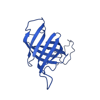 15129_8a40_H_v1-0
Structure of mammalian Pol II-TFIIS elongation complex