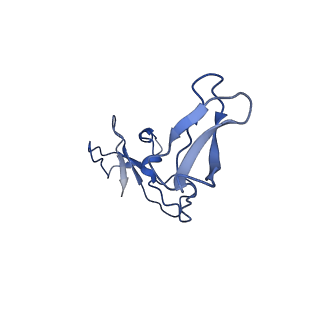 15129_8a40_I_v1-0
Structure of mammalian Pol II-TFIIS elongation complex