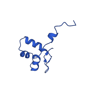 15129_8a40_J_v1-0
Structure of mammalian Pol II-TFIIS elongation complex
