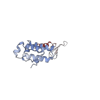 15129_8a40_U_v1-0
Structure of mammalian Pol II-TFIIS elongation complex