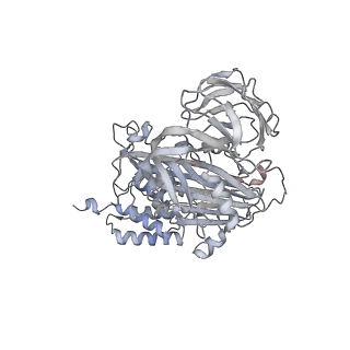 15134_8a41_B_v1-0
Nudaurelia capensis omega virus procapsid at pH7.6 (insect cell expressed VLPs)