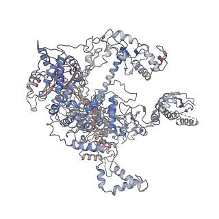 15135_8a43_A_v1-1
Human RNA polymerase I