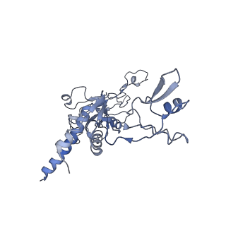 15135_8a43_C_v1-1
Human RNA polymerase I