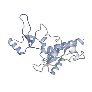 15135_8a43_E_v1-1
Human RNA polymerase I