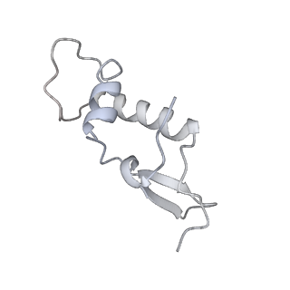 15135_8a43_F_v1-1
Human RNA polymerase I