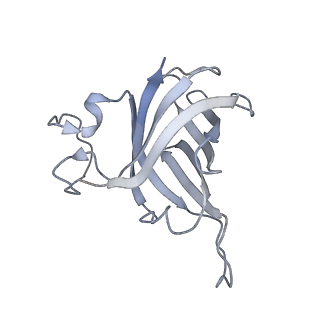 15135_8a43_H_v1-1
Human RNA polymerase I