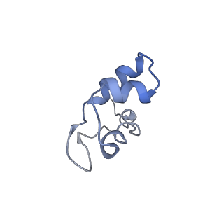 15135_8a43_J_v1-1
Human RNA polymerase I