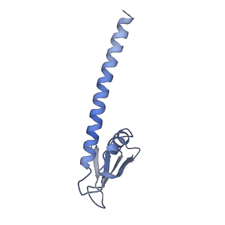 15135_8a43_K_v1-1
Human RNA polymerase I