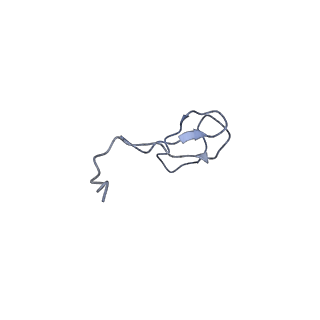 15135_8a43_L_v1-1
Human RNA polymerase I