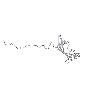 15135_8a43_M_v1-1
Human RNA polymerase I