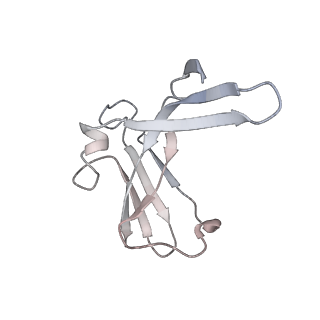 15135_8a43_N_v1-1
Human RNA polymerase I
